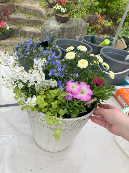 春フェスのお礼