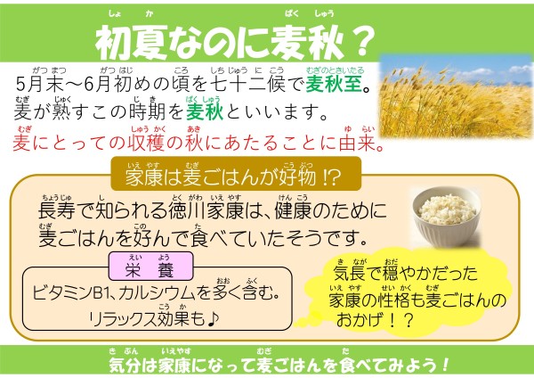 初夏なのに麦秋？