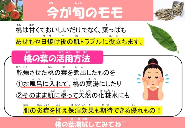 今が旬のモモ