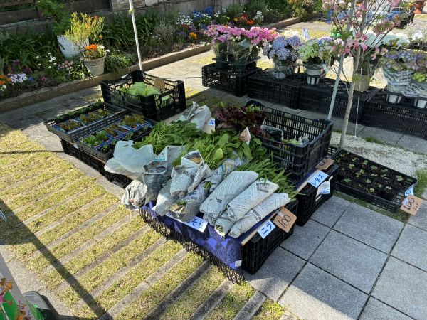 春フェス来場お礼