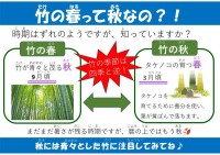 竹の春って秋なの？！