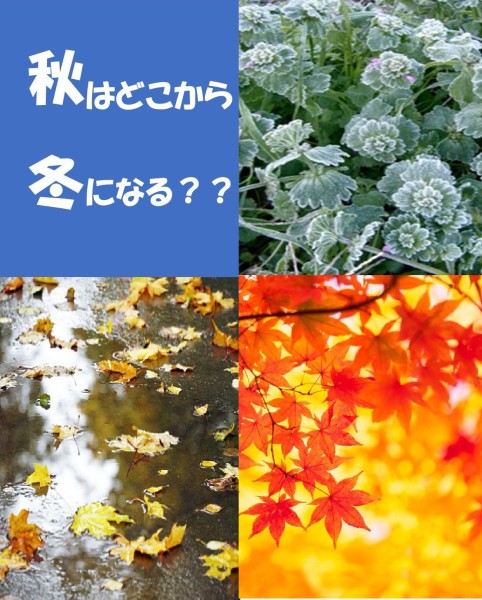 秋はどこから冬になる？？